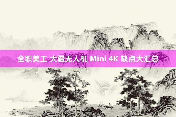 全职美工 大疆无人机 Mini 4K 缺点大汇总