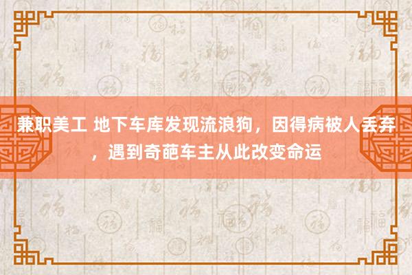 兼职美工 地下车库发现流浪狗，因得病被人丢弃，遇到奇葩车主从此改变命运