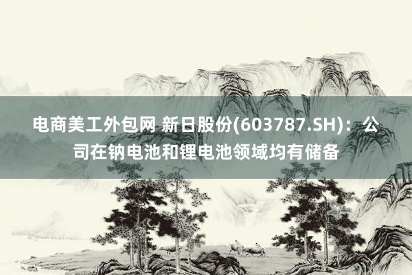 电商美工外包网 新日股份(603787.SH)：公司在钠电池和锂电池领域均有储备